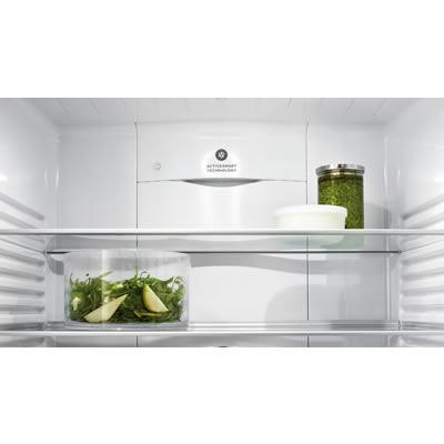  Fisher & Paykel 32-inch, 16.9 cu. ft. Counter-Depth Bottom Freezer Refrigerator RF170ADW5 IMAGE 3