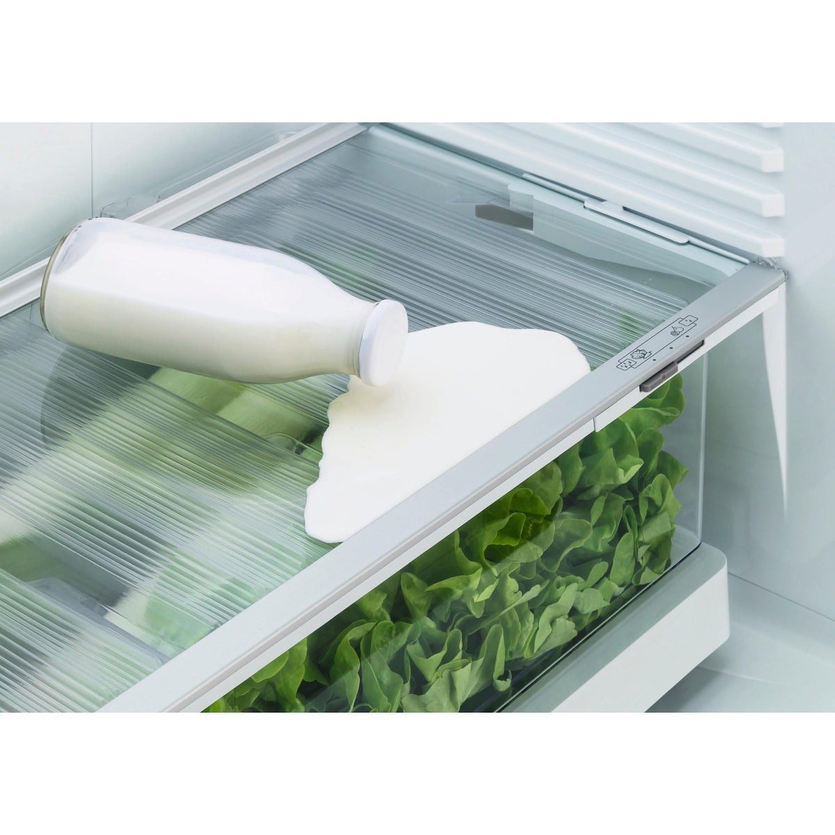  Fisher & Paykel 32-inch, 17.6 cu. ft. Counter-Depth Bottom Freezer Refrigerator with Ice and Water RF170BRPUX6 IMAGE 5