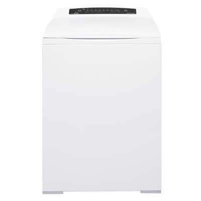  Fisher & Paykel 6.2 cu. ft. Electric Dryer DE62TD1 IMAGE 1