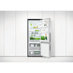 Fisher & Paykel 25-inch, 13.5 cu.ft. Counter-Depth Bottom Freezer with ActiveSmart™ RF135BRPX6 IMAGE 4