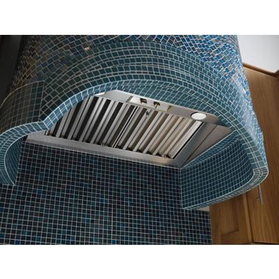  Wolf 52-inch Pro Built-In Hood Insert PL522212 IMAGE 2
