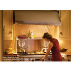  Wolf 48-inch Wall Mount Hood Shell PW482718 IMAGE 2