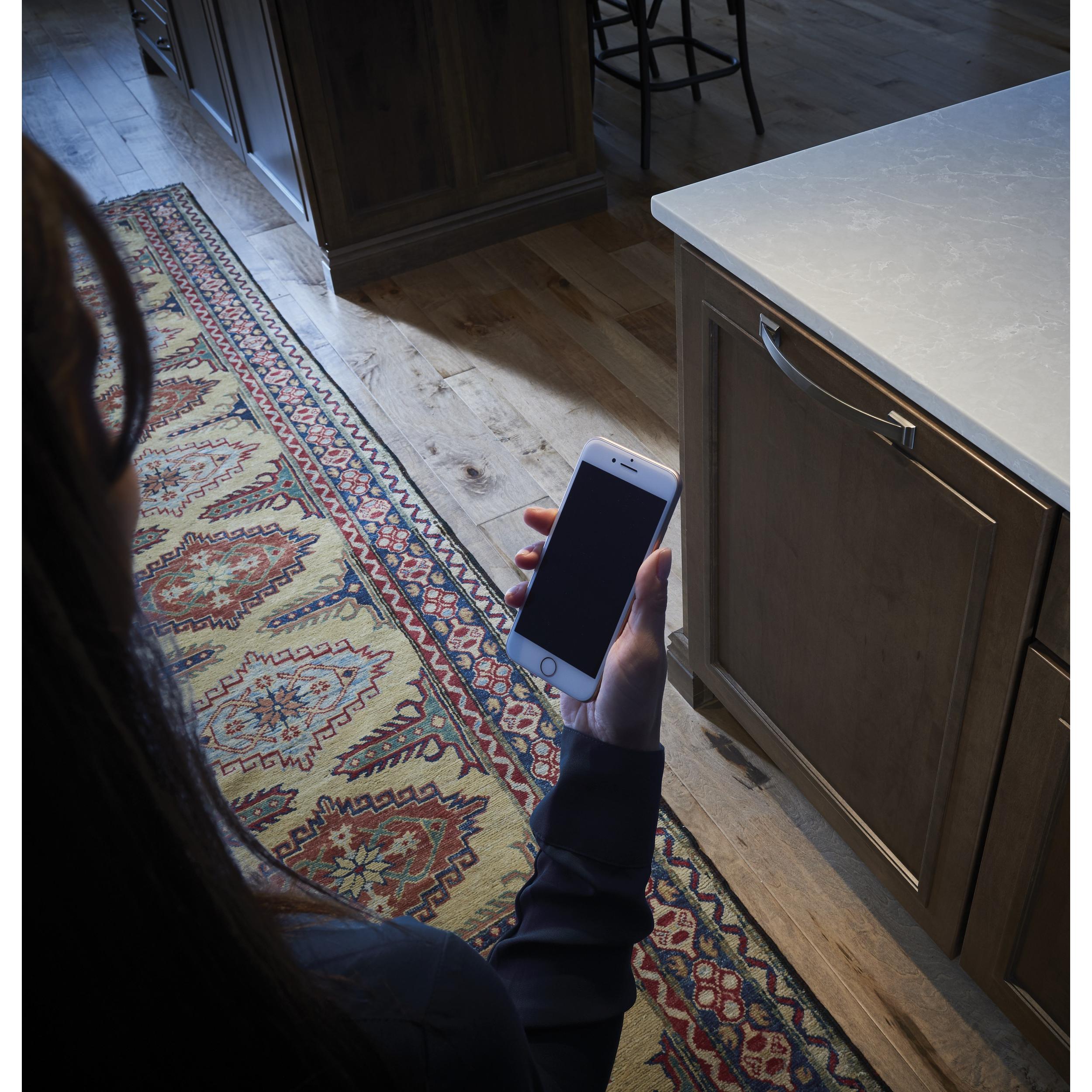  Monogram 24-inch Built-in Dishwasher with Wi-Fi Connectivity ZDT985SINII IMAGE 4