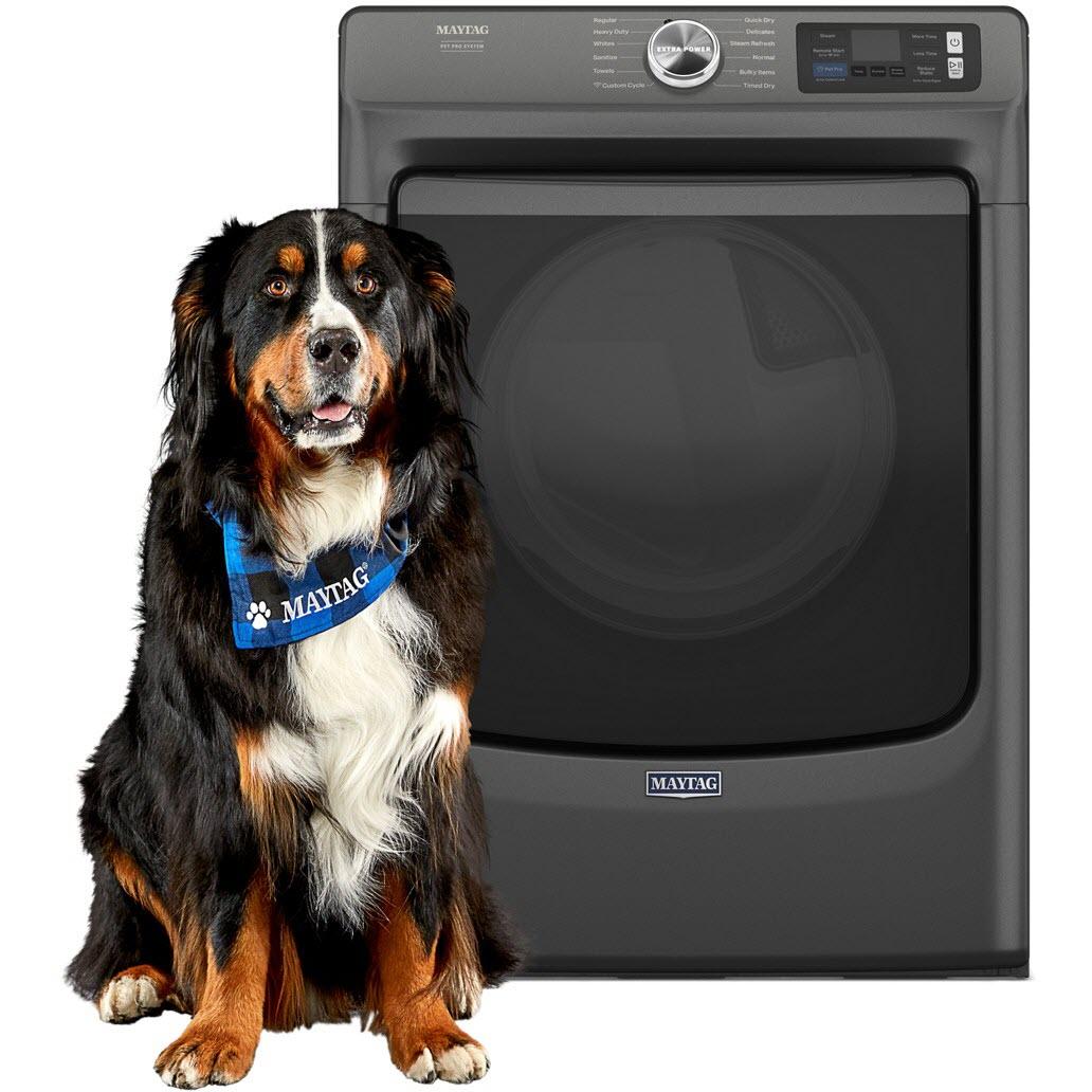  Maytag 7.4 cu. ft. Electric Dryer with Pet Pro Option YMED7020RU IMAGE 1