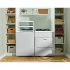  Whirlpool 5.3 cu. ft. Top Loading Washer with Built-in Faucet WTW5020SW IMAGE 10