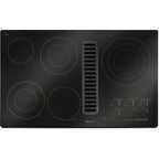  JennAir 36-inch Built-In Electric Cooktop JED4536WR IMAGE 1