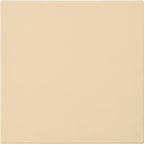  Frigidaire Pizza Stone 5304539429 IMAGE 1