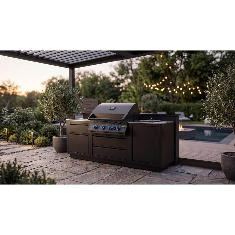  Napoleon OASIS® Outdoor Gas Grill Center - Natural Gas OOK-001 IMAGE 3