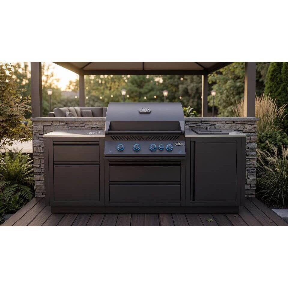  Napoleon OASIS® Outdoor Gas Grill Center - Liquid Propane OOK-002 IMAGE 2