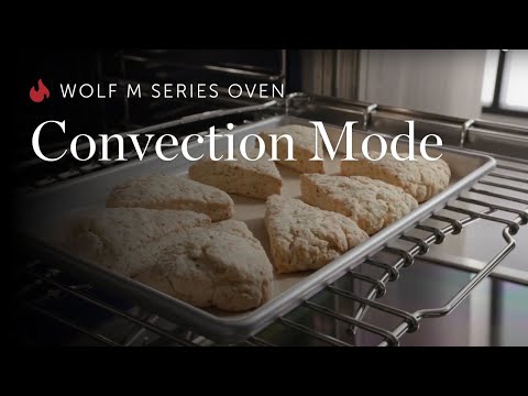  Wolf 30-inch, 5.1 cu. ft. Built-in Single Wall Oven with Dual VertiFlow™ Convection System SO3050CM/S EXTERNAL_VIDEO 3